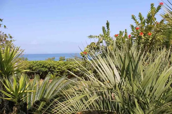 Insel Brac, Dalmatien: Villa in der 1. Reihe zum Meer, Bild 3
