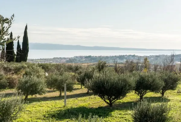 Moderne Villa mit Swimmingpool und Meerblick, Region Split, Bild 2
