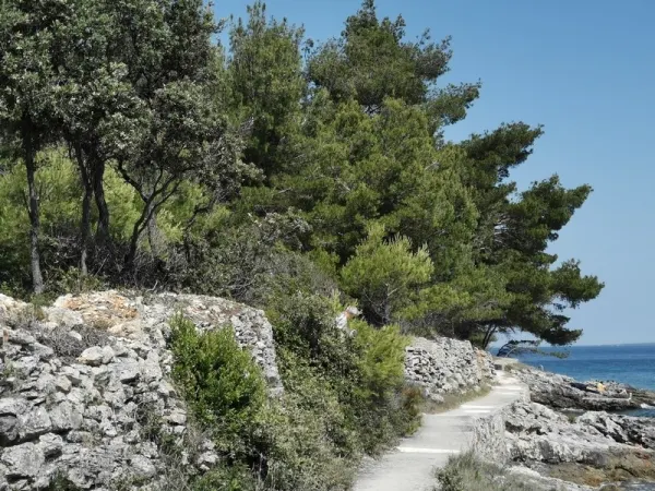 Grundstück in Insel Ugljan / Pasman / Dugi Otok