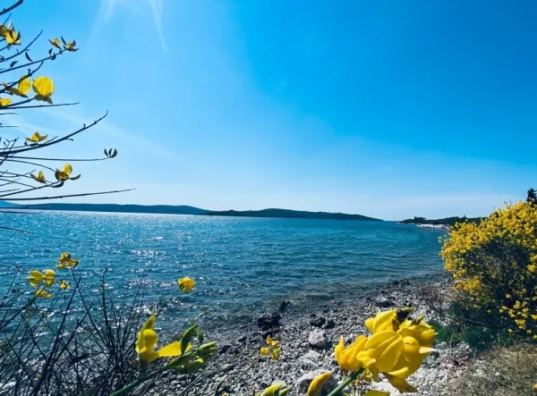 Villa in Insel Ugljan / Pasman / Dugi Otok