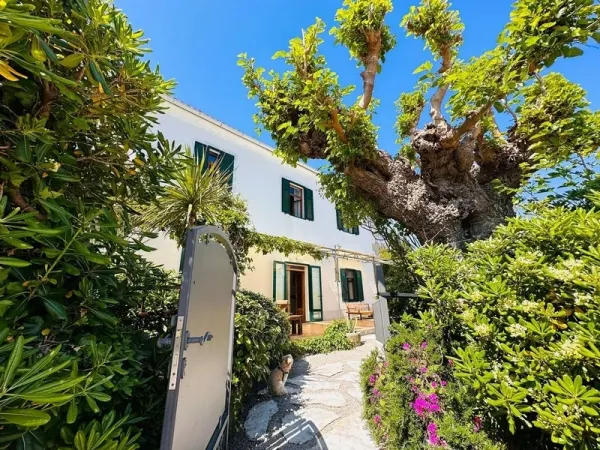 Villa in Insel Krk