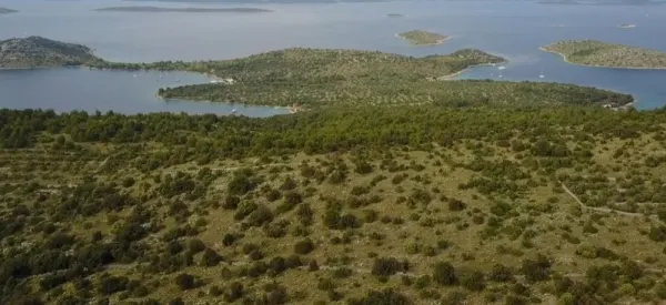 Landwirtschaftliches Grundstück mit Entwicklungsmöglichkeiten inkl. kleiner Insel, Bild 3