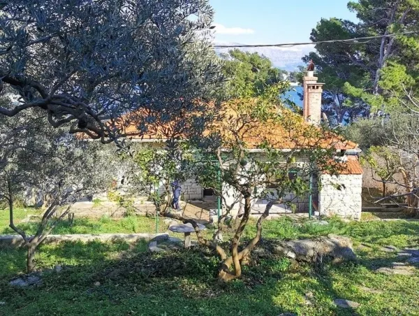 Villa in Insel Brac
