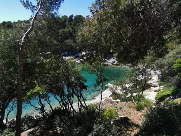 Mediterranes Steinhaus direkt am Meer, Bild 2