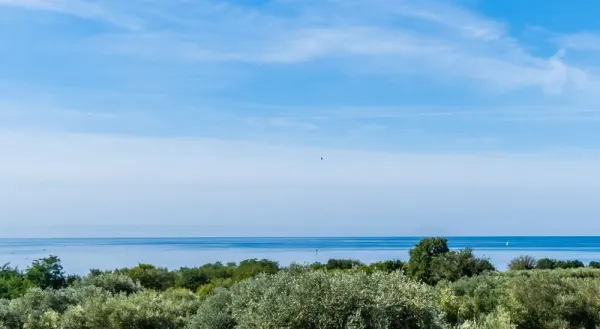 Wohnung in Umag